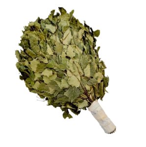 Witki brzozowe do biczowania w saunie