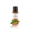 Olejek eteryczny do sauny naturalny 100% LIŚĆ CYNAMONU 10 ml