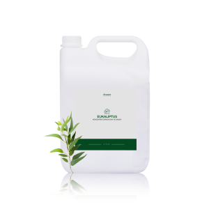 Olejek do sauny emulsja zapachowa Eukaliptus 5 L Eucalyptus globulus