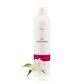 Olejek do sauny emulsja zapachowa GIGANT ZESTAW nr. 2 30 x 250 ml