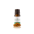 DRZEWO BALSAMICZNE TOLU