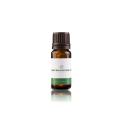DRZEWO BALSAMICZNE TOLU