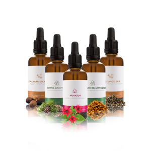 OLEJKI ETERYCZNE ZAPACHOWE DO SAUNY ZESTAW 5 X 50ML NR.10