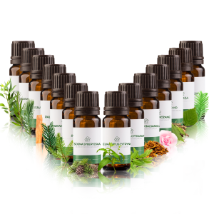 Zestaw olejków eterycznych Zapachy Leśne na drogi oddechowe 15 x 10 ml 