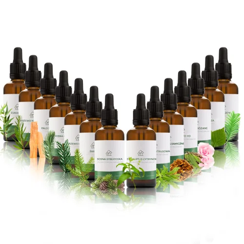 Zestaw olejków eterycznych Zapachy Leśne na drogi oddechowe 14 x 20 ml