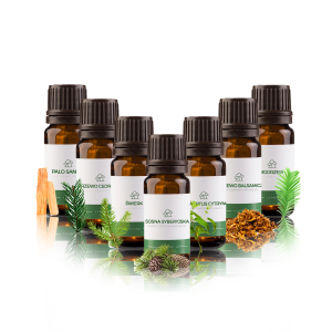 Zestaw olejków eterycznych Zapachy Leśne na drogi oddechowe 7 x 10 ml  nr.1 