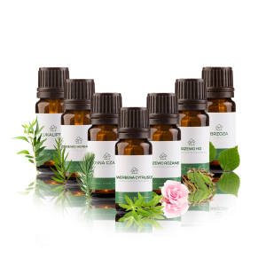 Zestaw olejków eterycznych Zapachy Leśne na drogi oddechowe 7 x 10 ml  nr.2