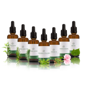 Zestaw olejków eterycznych Zapachy Leśne na drogi oddechowe 7 x 20 ml  nr.2 