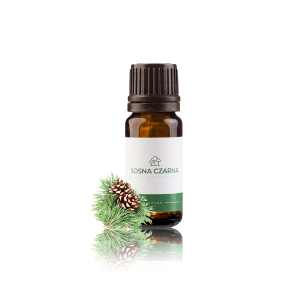 Olejek eteryczny do sauny naturalny 100% CZARNA SOSNA 10 ml Pinus nigra