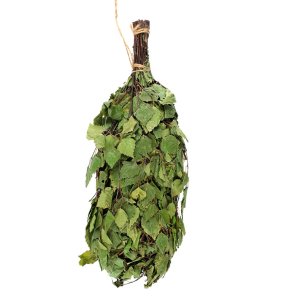 Witki brzozowe do biczowania  w  saunie